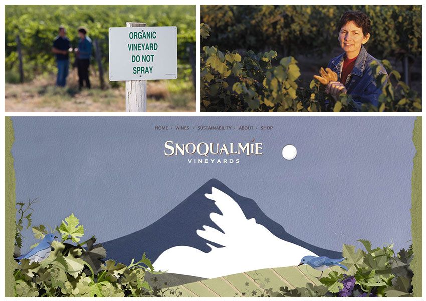 Snoqualmie Local Green Business Collage