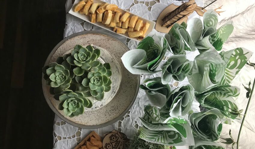 aerial photo of party table with succulents, patterned napkins, and bruschetta