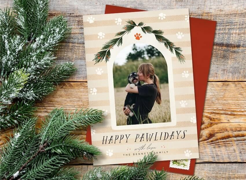 Pet holiday cards